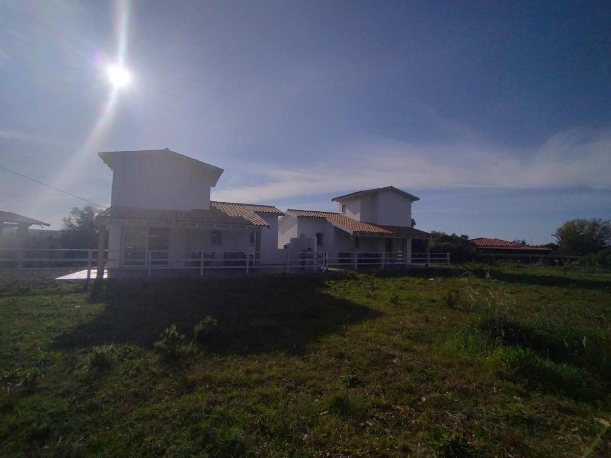 Fanny Porto Pino